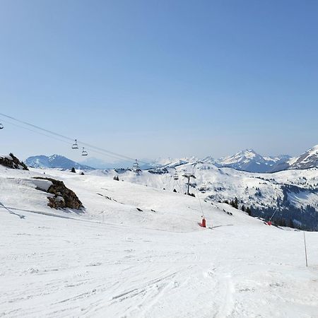 Chalet Cannelle Châtel Exteriér fotografie