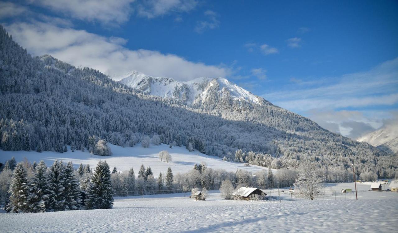 Chalet Cannelle Châtel Exteriér fotografie